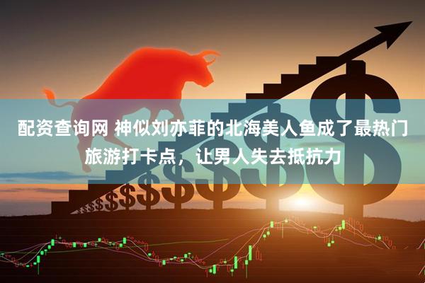 配资查询网 神似刘亦菲的北海美人鱼成了最热门旅游打卡点，让男人失去抵抗力