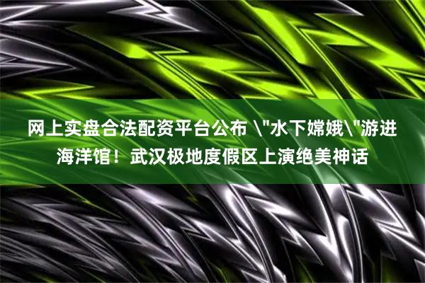 网上实盘合法配资平台公布 ＂水下嫦娥＂游进海洋馆！武汉极地度假区上演绝美神话