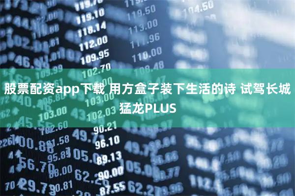 股票配资app下载 用方盒子装下生活的诗 试驾长城猛龙PLUS